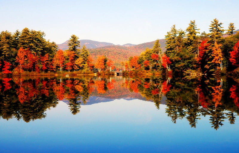 New Hampshire lake, red, colorful, fall, shore, autumn, falling, sky, lake, foliage, mirrored, leaves, water, season, reflection, blue, new hampshire, HD wallpaper
