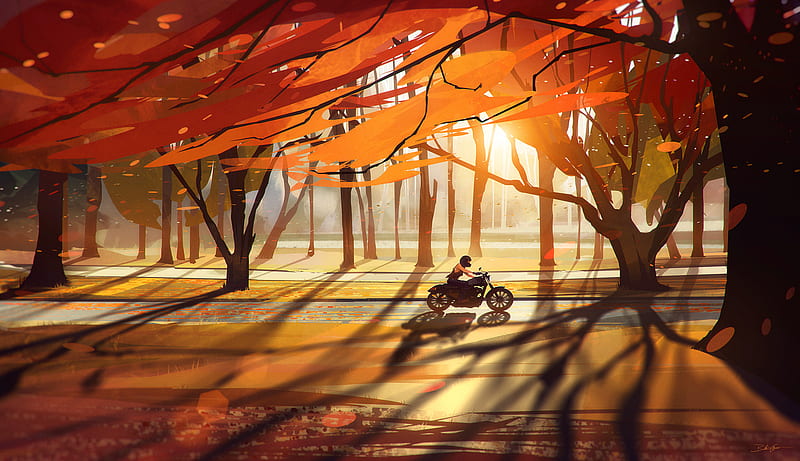 Autumn Fall Countryside Biker, bikes, autumn, biker, artwork, digital-art, HD wallpaper