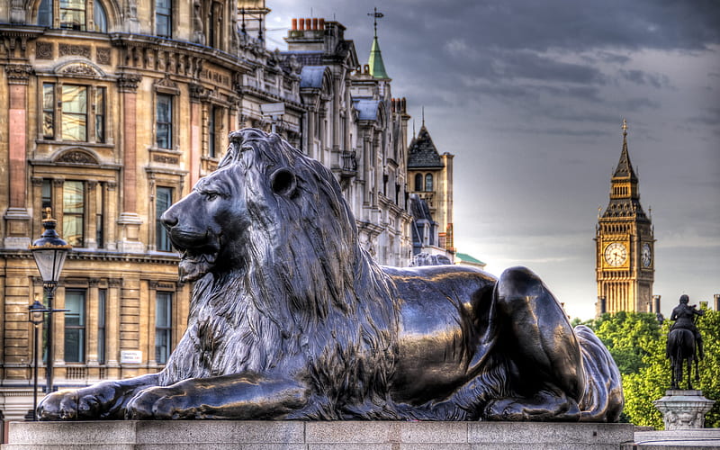 Trafalgar Square, monument, england, london, lion statue, HD wallpaper