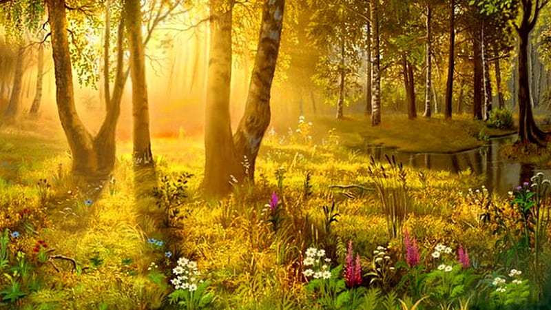 Morning Shining in Forest, forest, sunlight, spring, trees, bright, summer, flower, sunshine, morning, light, HD wallpaper