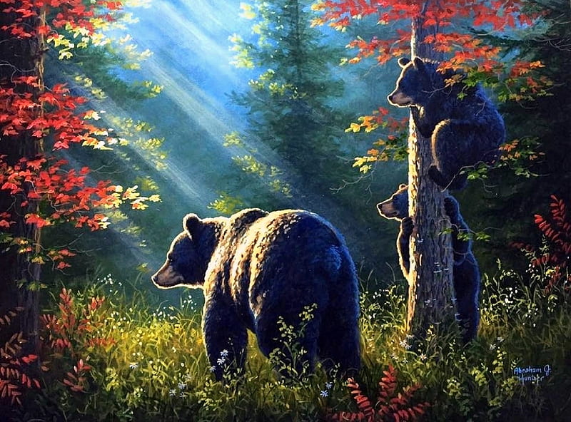 The Lookout!, family, attractions in dreams, love for seasons, paintings, summer, nature, cubs, bears, forests, animals, HD wallpaper