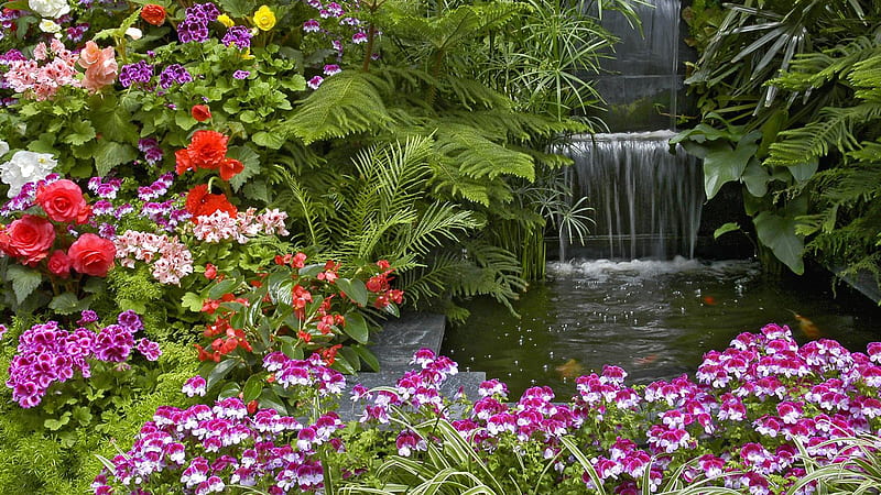 Begonia Geranium And Waterfall Garden, HD wallpaper