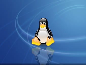 Linux blue sit, linux, computers, penguin, technology, system, sit ...