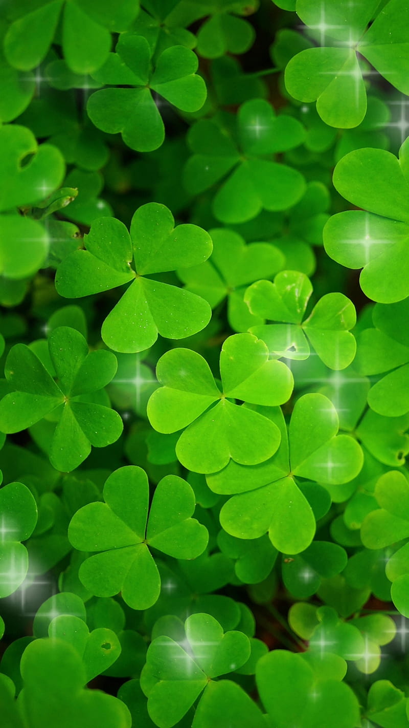 St Patrick Day StPatrick clover holiday ireland irish lucky patrick  sparkle HD phone wallpaper  Peakpx