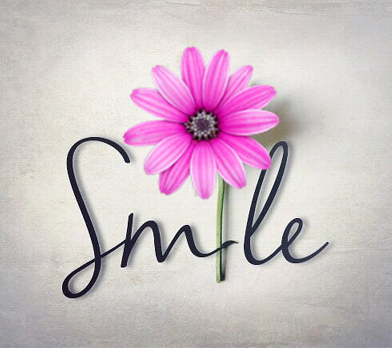 Smile, flower, HD wallpaper | Peakpx