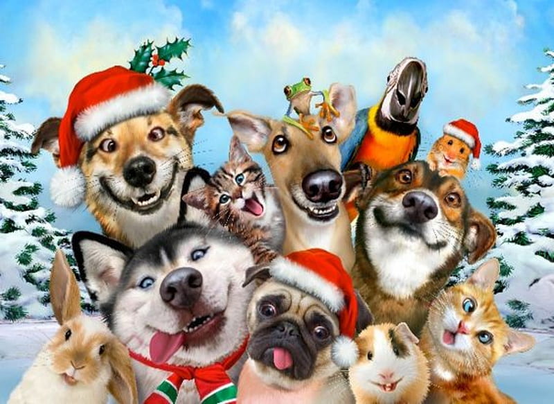 Happy Christmas From The Animals , Christmas, Birs, Bunnies, Kitten, Dogs, Hats, Animals, Wolves, HD wallpaper