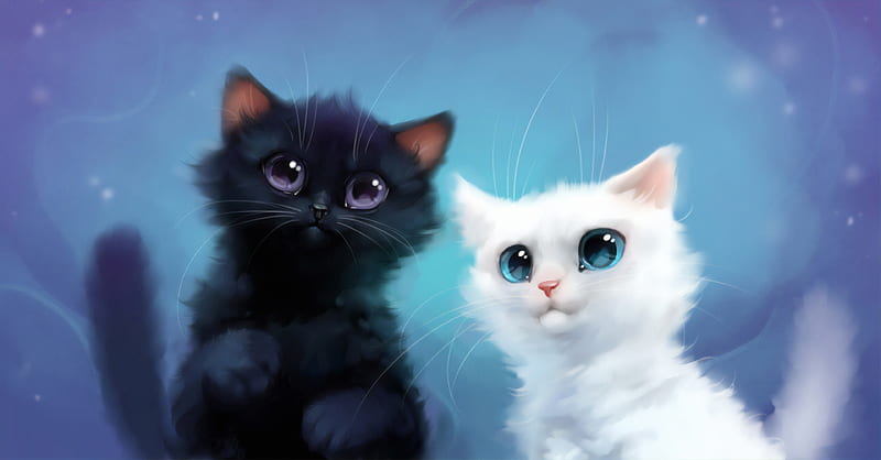 Gatitos, pisici, gato, blanco, azul, pareja, vera velichko, luminos, negro,  lindo, Fondo de pantalla HD | Peakpx