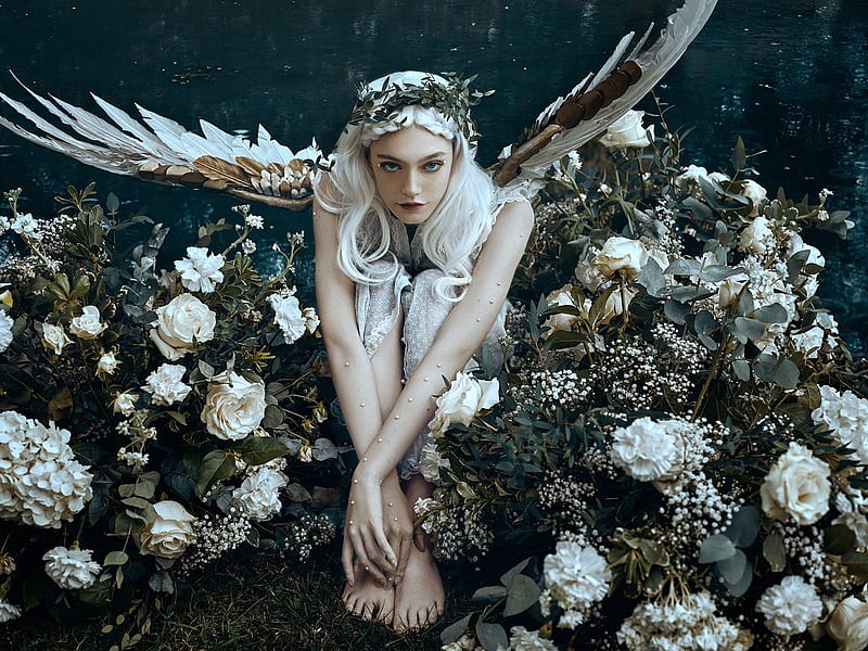 Angel, bella kotak, wings, model, girl, flower, woman, white, HD wallpaper