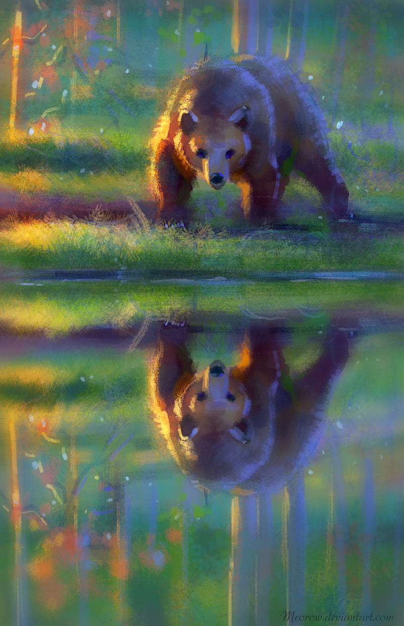 bear, brown, reflection, water, art, HD phone wallpaper