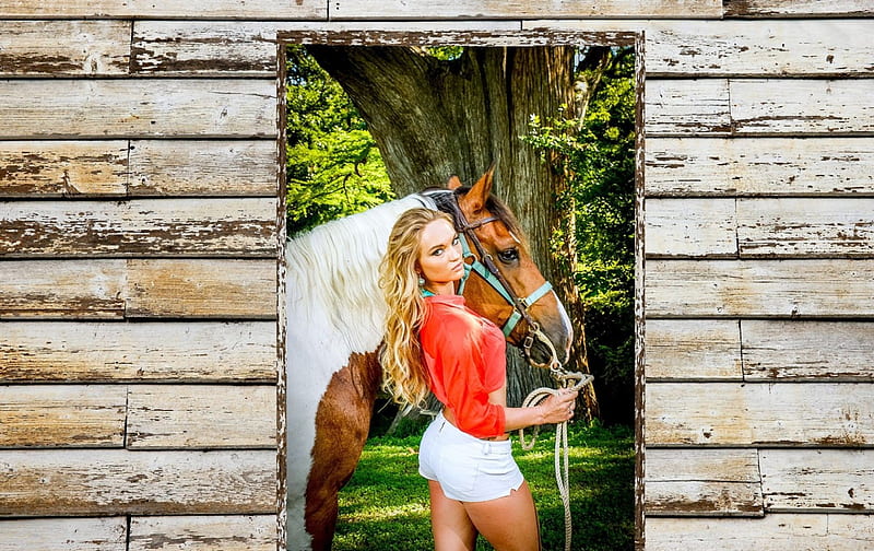 Outside The Barn Door, female, models, ranch, fun, women, horses, cowgirls, girls, fashion, barns, blondes, western, style, HD wallpaper