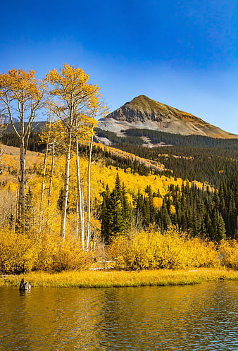 Beef Basin Pond, Utah, mountain, autumn, aspen, grass, golden, bonito ...