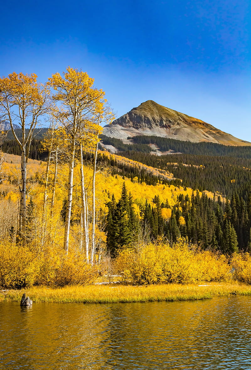 mountain, trees, lake, reflection, autumn, HD phone wallpaper