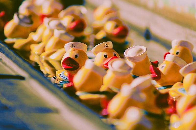 yellow duckies toys on metal surface, HD wallpaper
