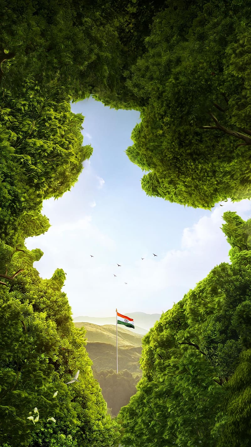 Best Scenery, Indian Flag And Map, indian, flag, map, nature, greenery, HD phone wallpaper