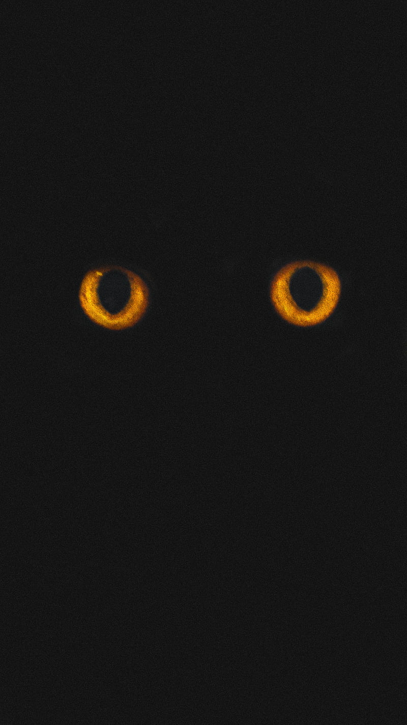 blinky cat eyes, DARK, animal, black, minimal, orange, HD phone wallpaper