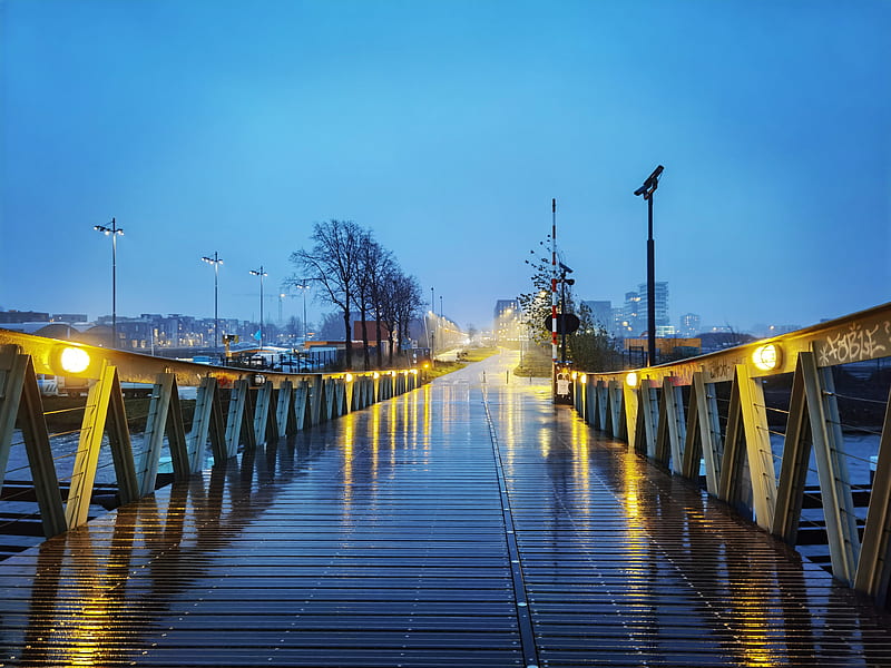 Rainy bridge, amsterdam, city, city lights, dark, lights, ndsm, rain, wet, HD wallpaper