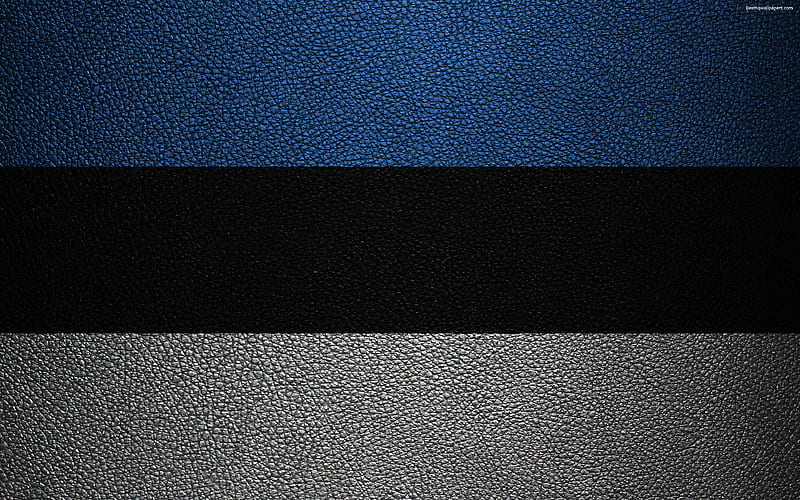 Flag of Estonia leather texture, Estonian flag, Europe, flags of Europe, Estonia, HD wallpaper