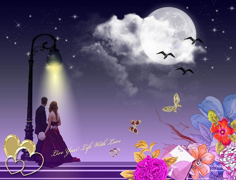 love lights up your life, butterflies, moon, sky, abstract, HD wallpaper