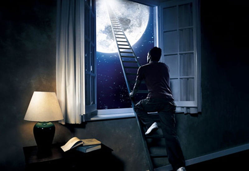 ladder to the moon, climb, moon, window, light, HD wallpaper