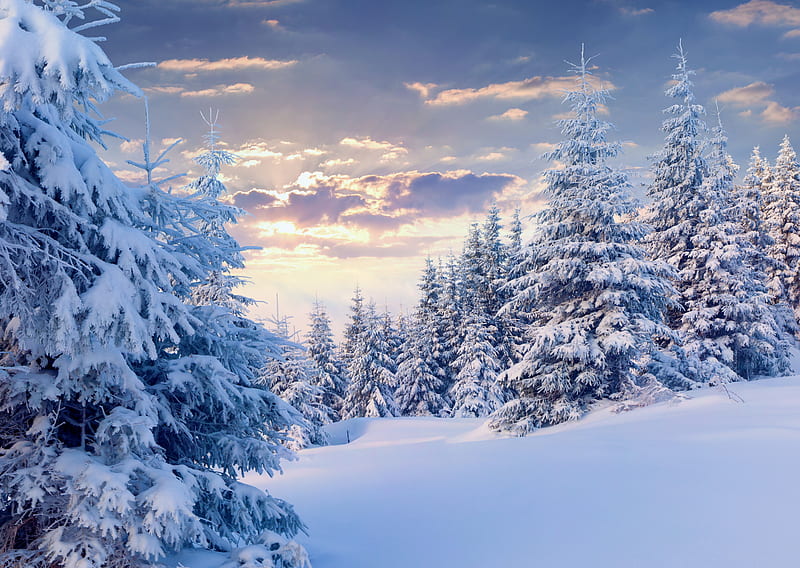 https://w0.peakpx.com/wallpaper/660/794/HD-wallpaper-winter-landscape-forest-beautiful-trees-sky-winter-mountain-snow-slope-landscape.jpg