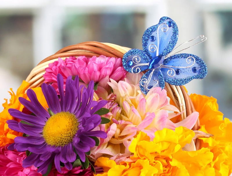 Colorful flowers, butterfly, basket, natute, flowers, petals, HD wallpaper