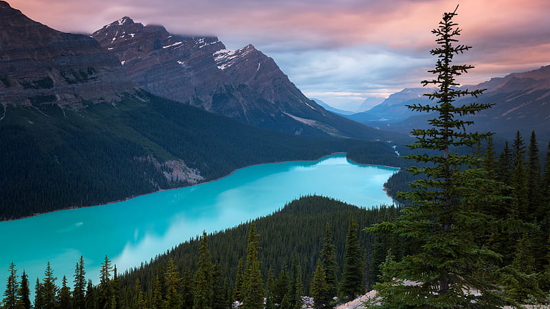 Peyto Lake Canada Mountains , peyto-lake, mountains, lake, canada, nature, sky, trees, HD wallpaper
