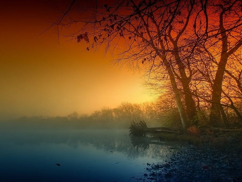 SUNSET MIST, red, lakes, sun, yellow, silouettes, trees, sky, fog, mist, waterscapes, sunsets, horizons, reflections, HD wallpaper