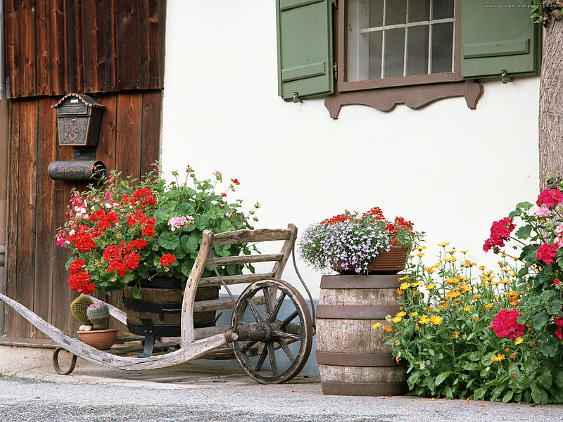 flowered backyard, flowered, cottage, bonito, country, backyard, HD wallpaper