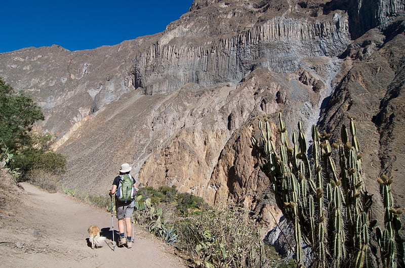 Trekking in Colca Canyon, Cliff, Mountainside, Rock, Trekking, Mountain, Outdoor, Crag, Peru, Rock formation, Canyon, Landscape, Ridge, Colca, HD wallpaper