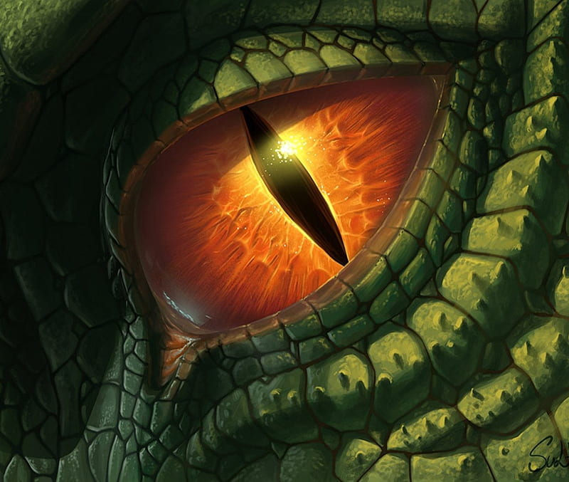 Dragon's Eye, fantasy, green, orange, eye, dragon, abstract, HD wallpaper