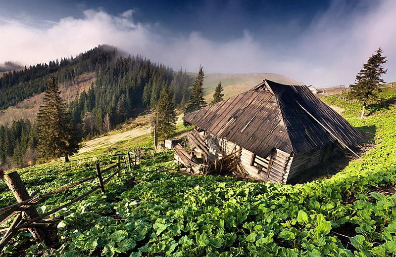 Karpaty mountains,Ukraine, karpaty, landscape, mountains, ukraine, HD wallpaper