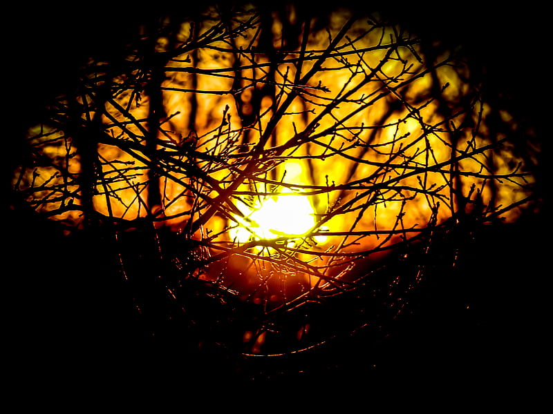 Magical Sunset, black, dark, gold, light, nature, nice, patterns, sun, warm light, HD wallpaper