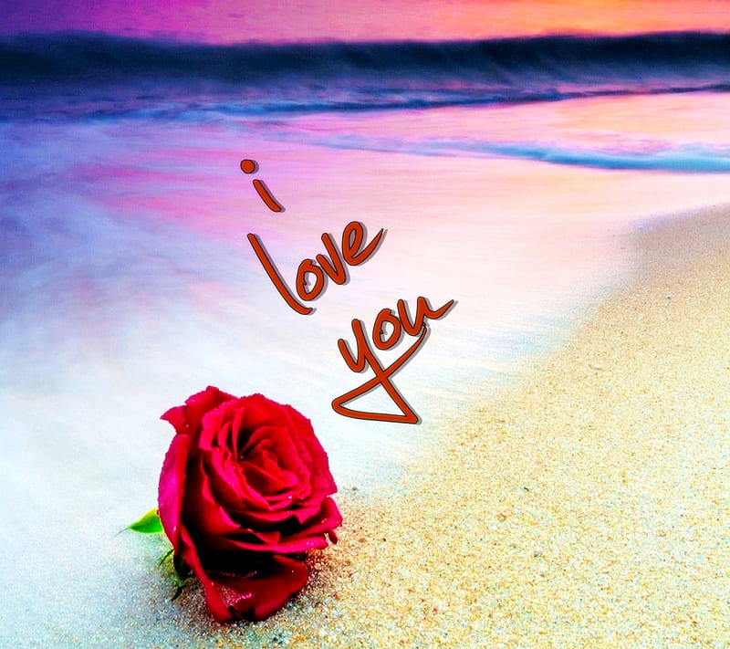 i love you, cool, siempre, new, quote, romantic, saying, sign, together, HD wallpaper