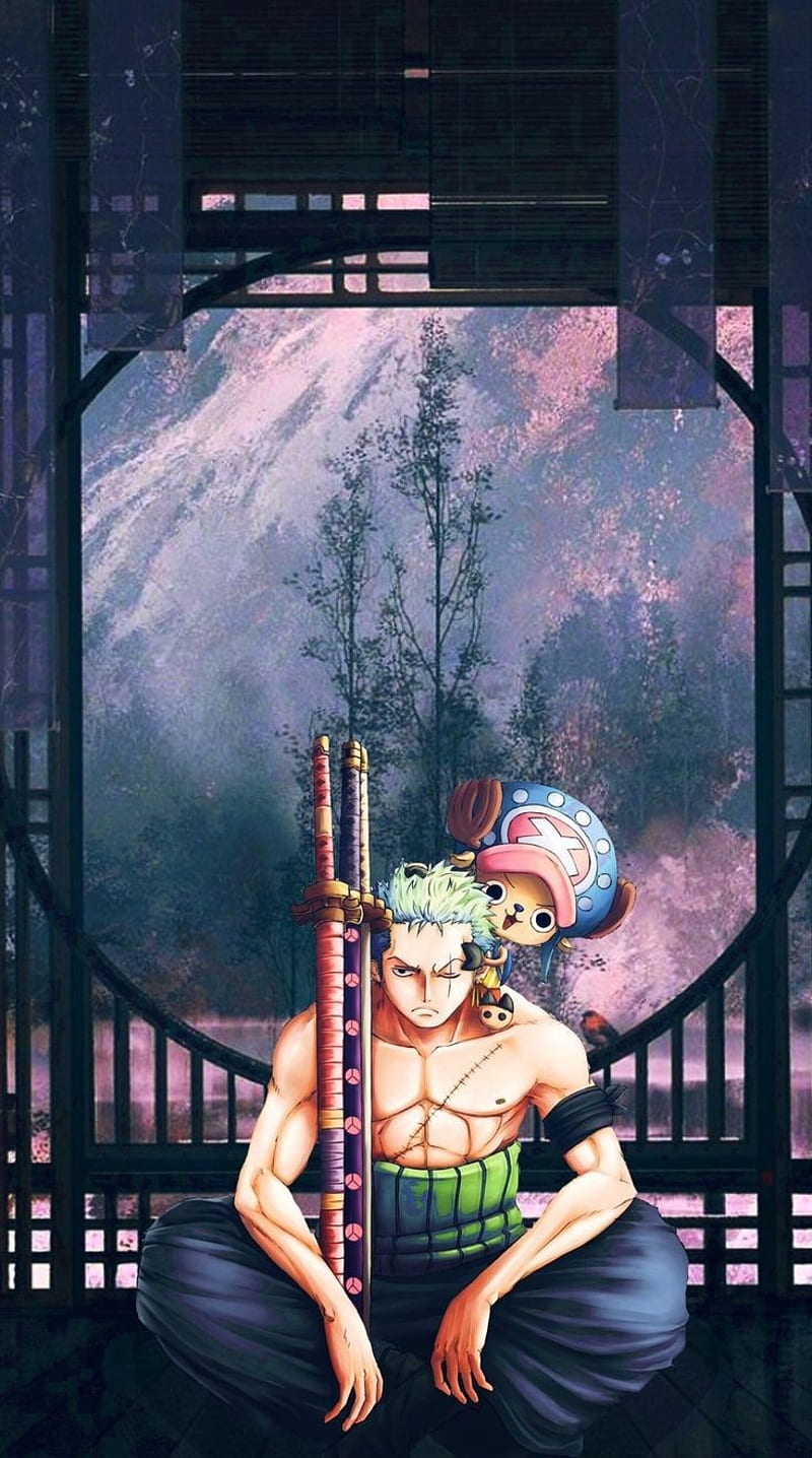 chopper zoro