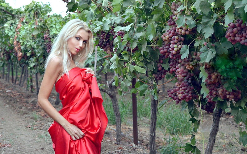 Woman in Red in the Grapevine Grove, Model, Grapes, Red, Blonde, HD wallpaper