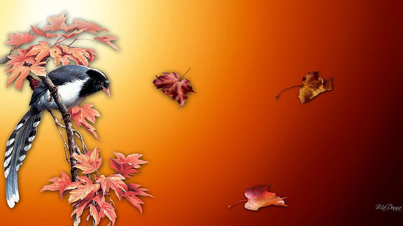 Maple Leaves Bird Bright, fall, autumn, orange, maple, Japanese maple, Oriental, tree, leaves, bird, HD wallpaper