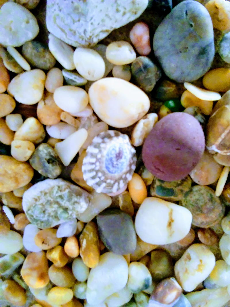 Ocean rocks, agates, ocean, rocks, seaglass, shells, stones, HD phone wallpaper