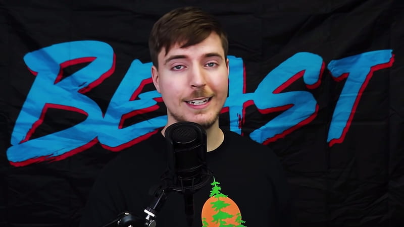 What is MrBeast Net Worth? Jimmy Donaldson's Net Worth, Explained, HD wallpaper