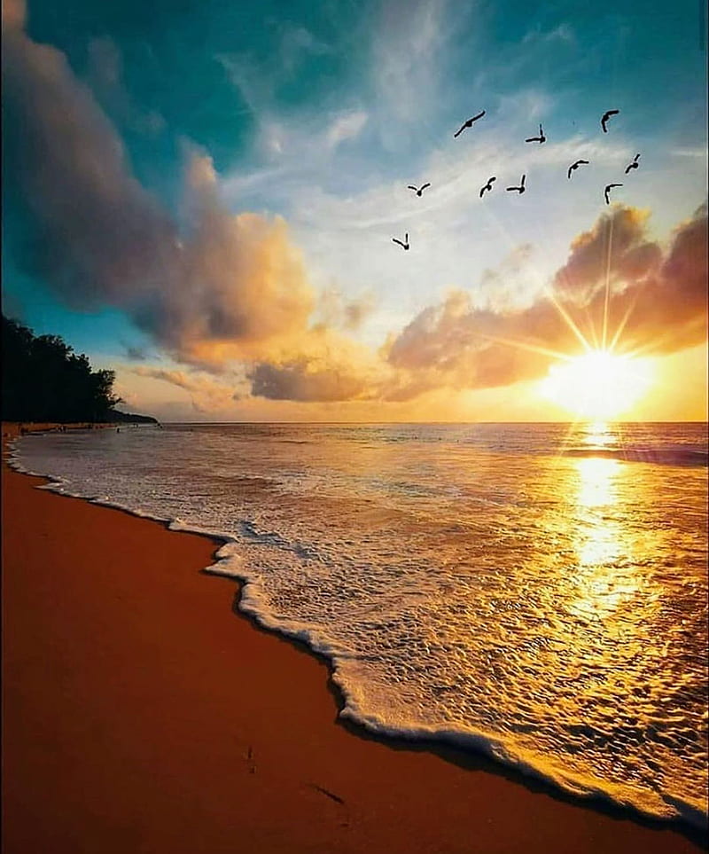 Exotic Island spot, beach, landscape, ocean, salt life, sand, sea, sunrise, sunset, tropical, HD phone wallpaper