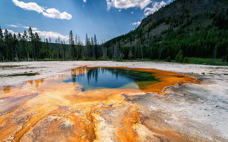 geyser, hot spring, Yellowstone, Grand Prismatic Spring, Yellowstone National Park, Wyoming, USA, HD wallpaper