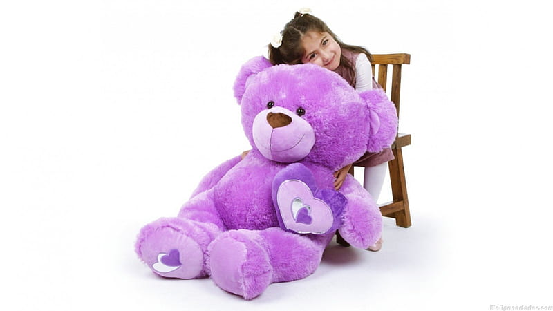 Teddy Bear Purple Color Love Stock Photos  Free  RoyaltyFree Stock  Photos from Dreamstime