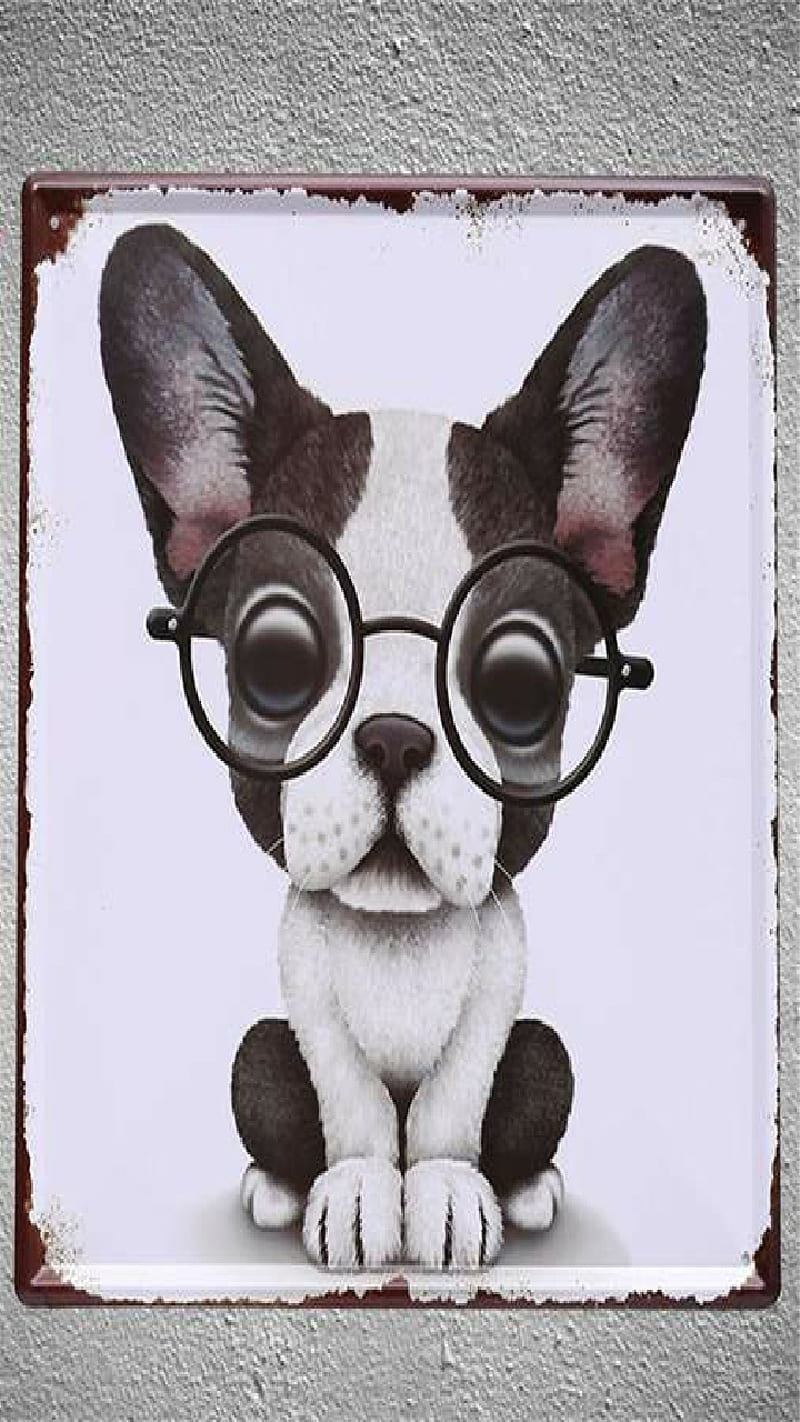 Hello, black, boston terrier, canine, cartoon, dog, fun, glasses, pet,  white, HD phone wallpaper | Peakpx