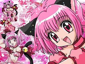 Anime Tokyo Mew Mew New ♡ HD Wallpaper by Midori_