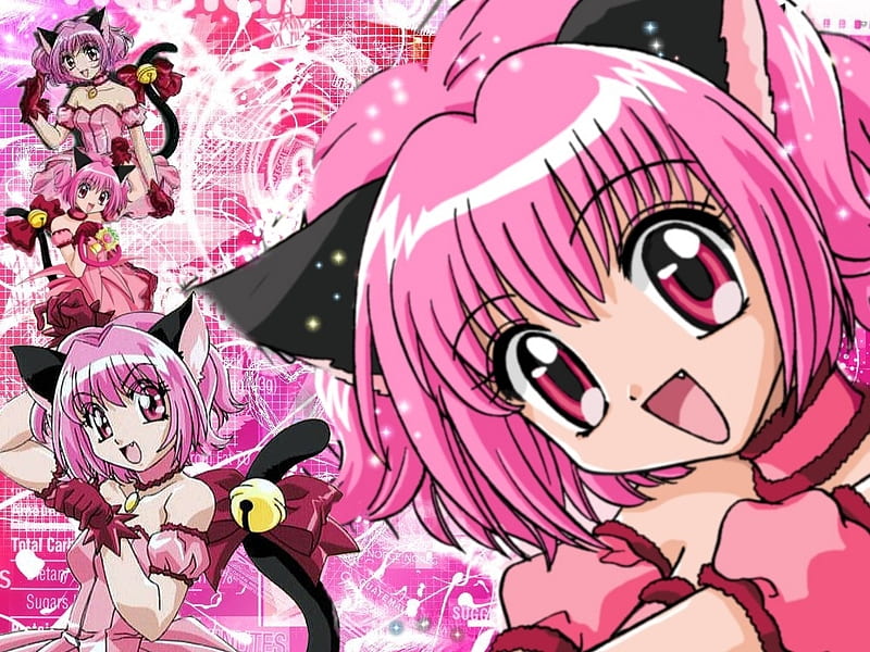 Tokyo Mew Mew-Ichigo, tokyo mew mew, anime, ichigo, mew mew power, cat girl, pink, other, HD wallpaper