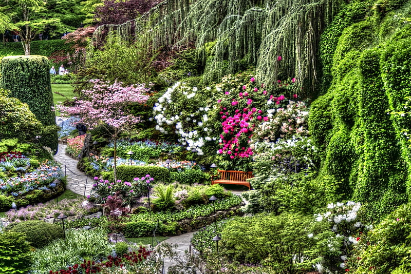 Beautiful Sunken Garden, flowers, gardens, nature, landscape, HD wallpaper