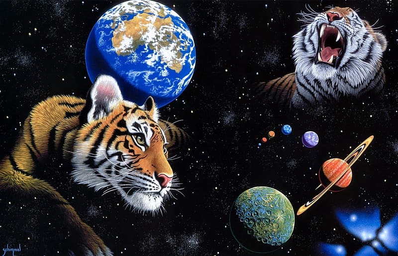 Cats, Tiger, Animal, Planet, HD wallpaper | Peakpx