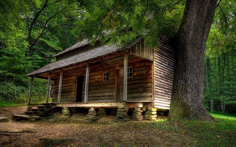 Wooden Cabin, Forest, Cabin, House, Seclusion, HD wallpaper
