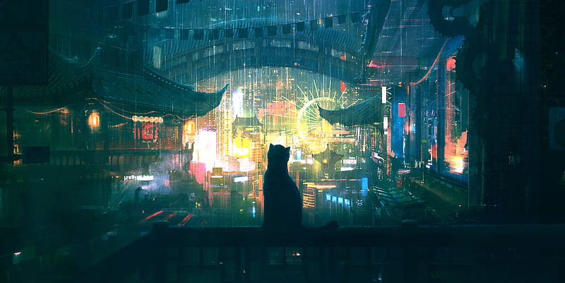 Lonely Cat in Rain, HD wallpaper