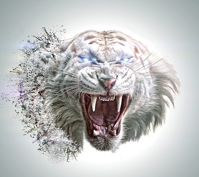 White Tiger Abstract, big cats, carnivor, felines, predator, white tiger, HD wallpaper