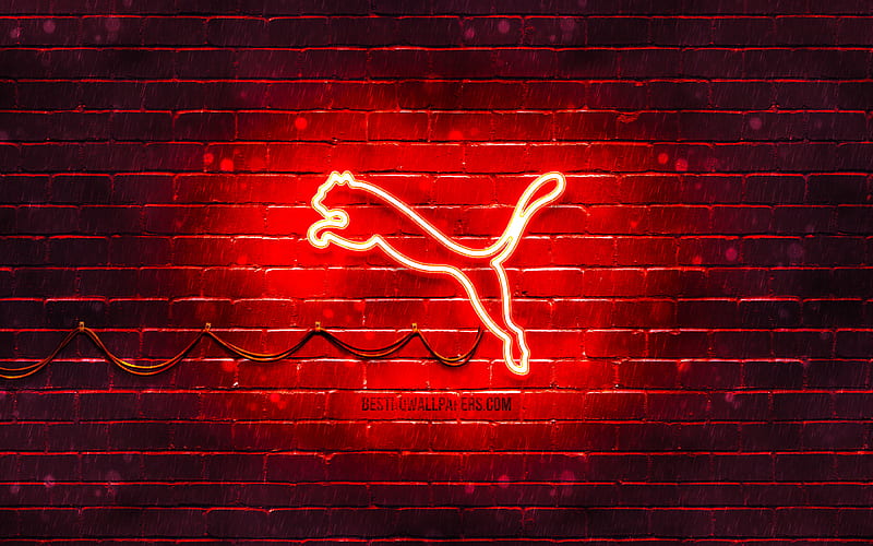 Puma red logo red brickwall, Puma logo, brands, Puma neon logo, Puma, HD wallpaper